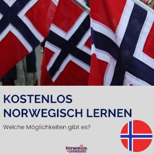 Kostenlos Norwegisch lernen - Welche Möglichkeiten gibt es