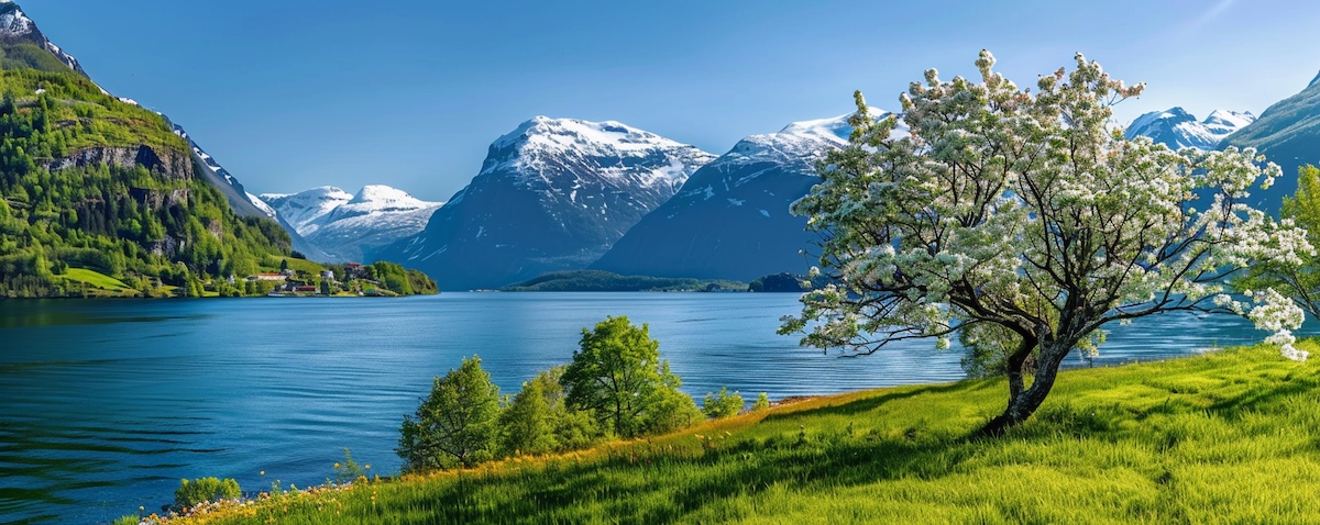 Norwegen im Frühling, blühende Fjordlandschaft mit schneebedeckten Gipfeln