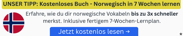 Footer Banner kostenloses eBook Norwegisch Download